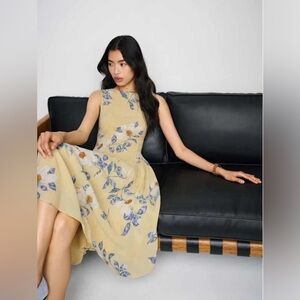 Reformation Anelis Dress in New Day